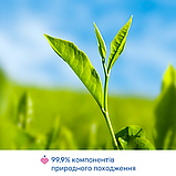 Олія масажна Chicco 4 в 1 до та після пологів 200 мл, фото 3