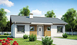 MS-027 . Маленький будинок із двоскатним дахом.