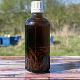 Настоянка личинок воскової молі 100 мл, фото 2