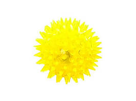 Мячі для фітнесу