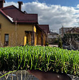 Декоративна штучна трава ширина рулону 1 метр LG Grass 40 мм., фото 7