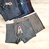 Чоловічі труси боксери Taso модал 1шт  Розмір  XL 3XL, фото 2