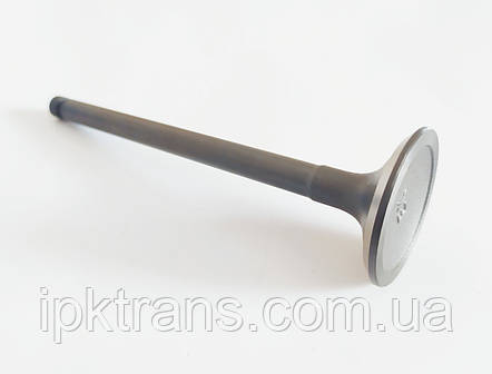 Клапан випускний NISSAN H20 № N-13202-50K02, N1320250K02, фото 3