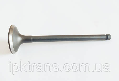 Клапан випускний NISSAN H20 № N-13202-50K02, N1320250K02, фото 1