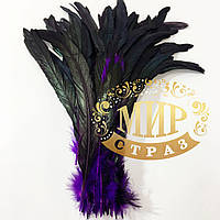 Перо півня Чорно-фіолетовий градієнт, довжина 25-30 см, 1 шт.