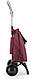 Сумка-візок Rolser Mini Bag Plus MF 2L Burdeos ( MNB042-1060), фото 4
