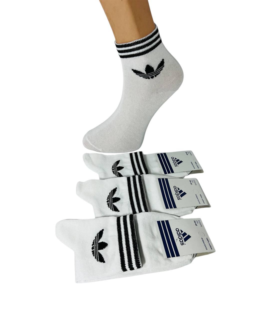 Шкарпетки демісезонні 12 пар спортивні середні з бавовни Adidas Туреччина розмір 36-40 білі