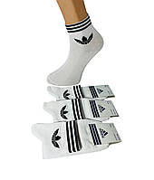Шкарпетки демісезонні 12 пар спортивні середні з бавовни Adidas Туреччина розмір 36-40 білі