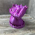 Горщик для квітів Змінна дівчина Ваза для сухості Фіолетовий шовк, фото 5