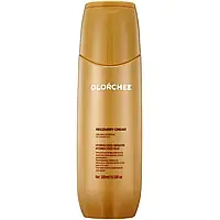 Крем експрес-догляд для відновлення волосся за 1 хвилину Olorchee Recovery Cream One Minute Repair, 300 мл