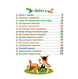 Маленькі казки- великі букви. Казковими стежками. Том 1. А1812001У, фото 2