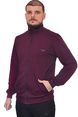 Кофта спортивна чоловіча Calvin Klein 24-0042-1 бордова, фото 4