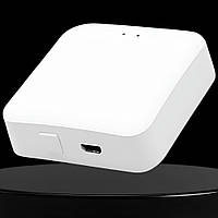 Інтелектуальний шлюз для керування пристроями розумного будинку  Білий