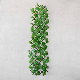 Декоративна панель зі штучної зелені та лози "Фікус", 36*120 см ELISEY