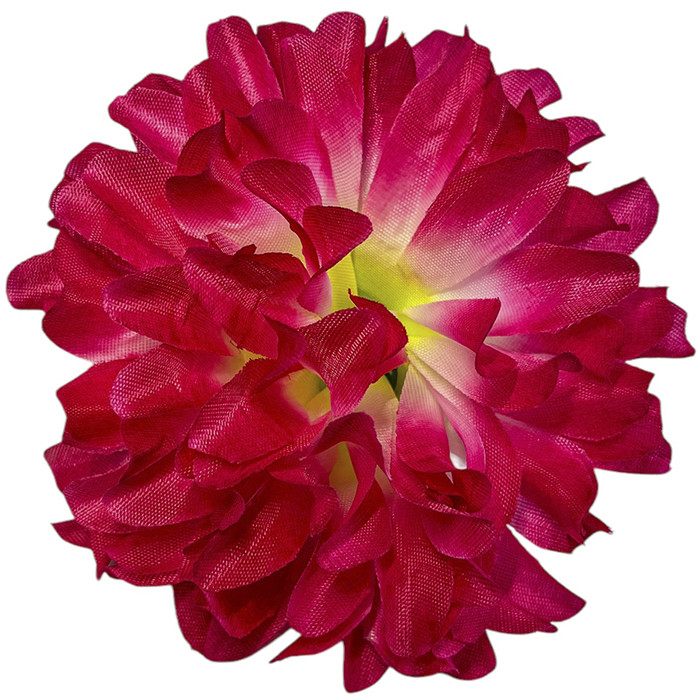 Хризантема вузьколиста, 12см, фото 1