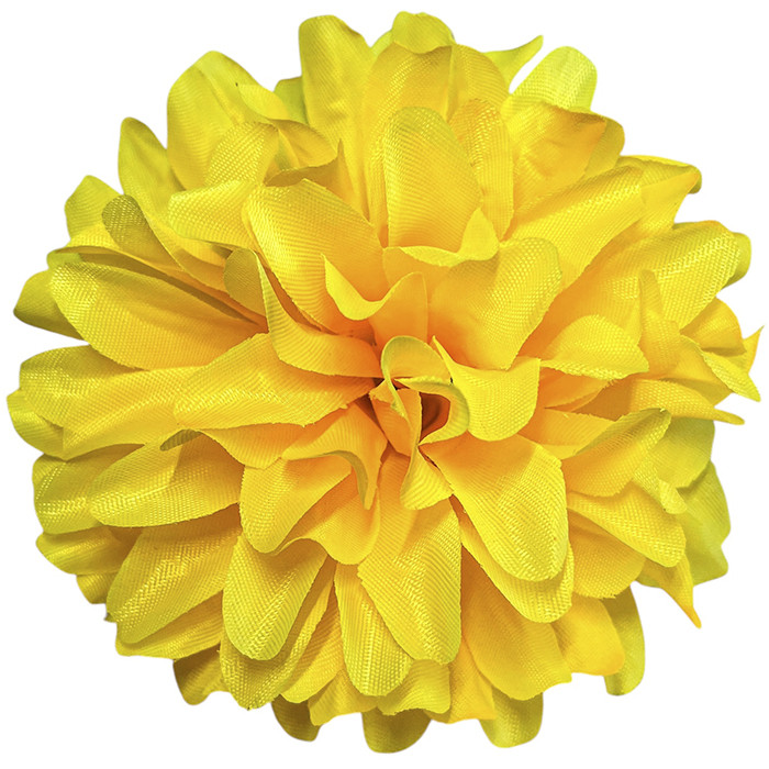 Хризантема вузьколиста, 12см, фото 1