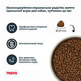 Mera PS Mini Lamm & Reis для дорослих собак дрібних порід, з ягням та рисом 4кг, фото 3