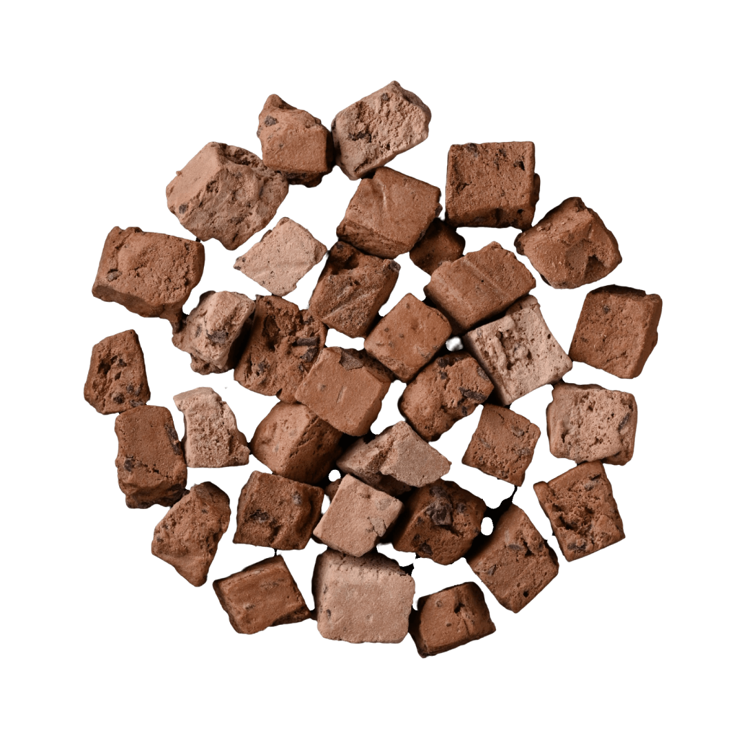 Сублімоване морозиво шоколадне, 25г, фото 1