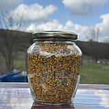 Пилок бджолиний квітковий 2025 р весняний солодкий скляна баночка 450 грам, фото 3