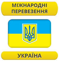 Міжнародний переїзд: Україна / з України / до України