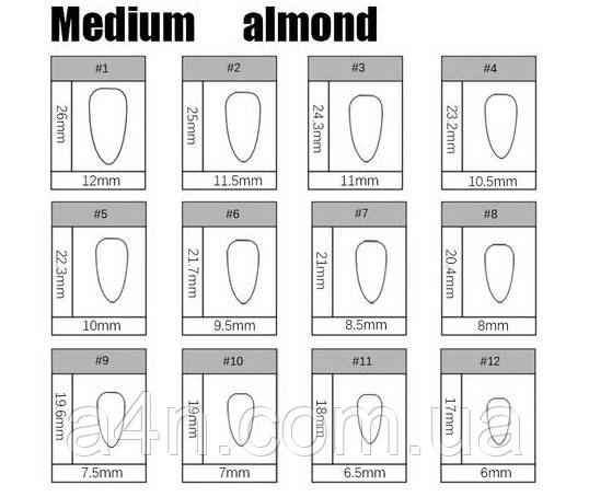 Накладные ногти - Интернет-магазин A4N Размеры накладных ногтей