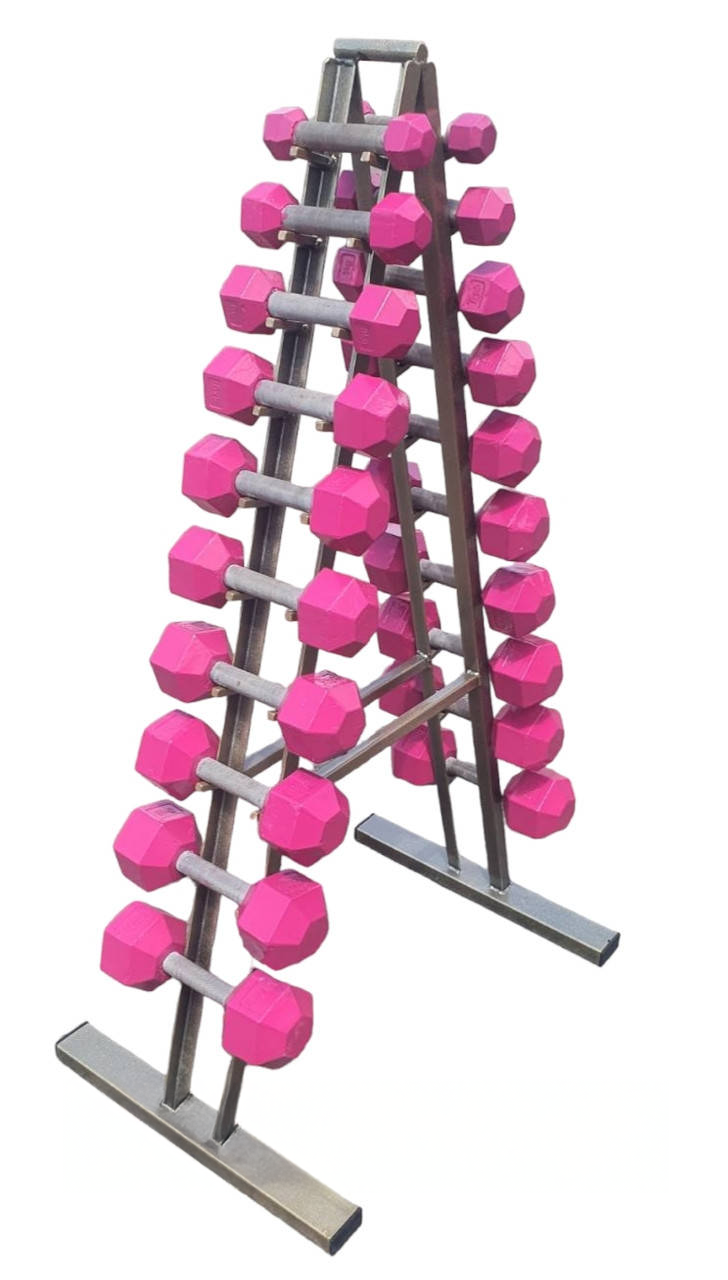 Гантельний ряд 1-10 кг зі стійкою гантелі нерозбірні гексагональні гантелі сталеві GoodLift Pink вага 110 кг