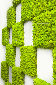 Акустичні панелі зі стабілізованого живого моху в інтер’єрі. Біодекор для інтер’єру декоративний 50*50