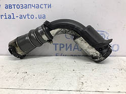 Патрубок інтеркулера Renault Megane 3 1.5 DIESEL K9K 2009 (б/у)