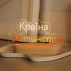 Брендований світильник 18\20 см, фото 2