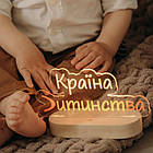 Брендований світильник 18\20 см, фото 5