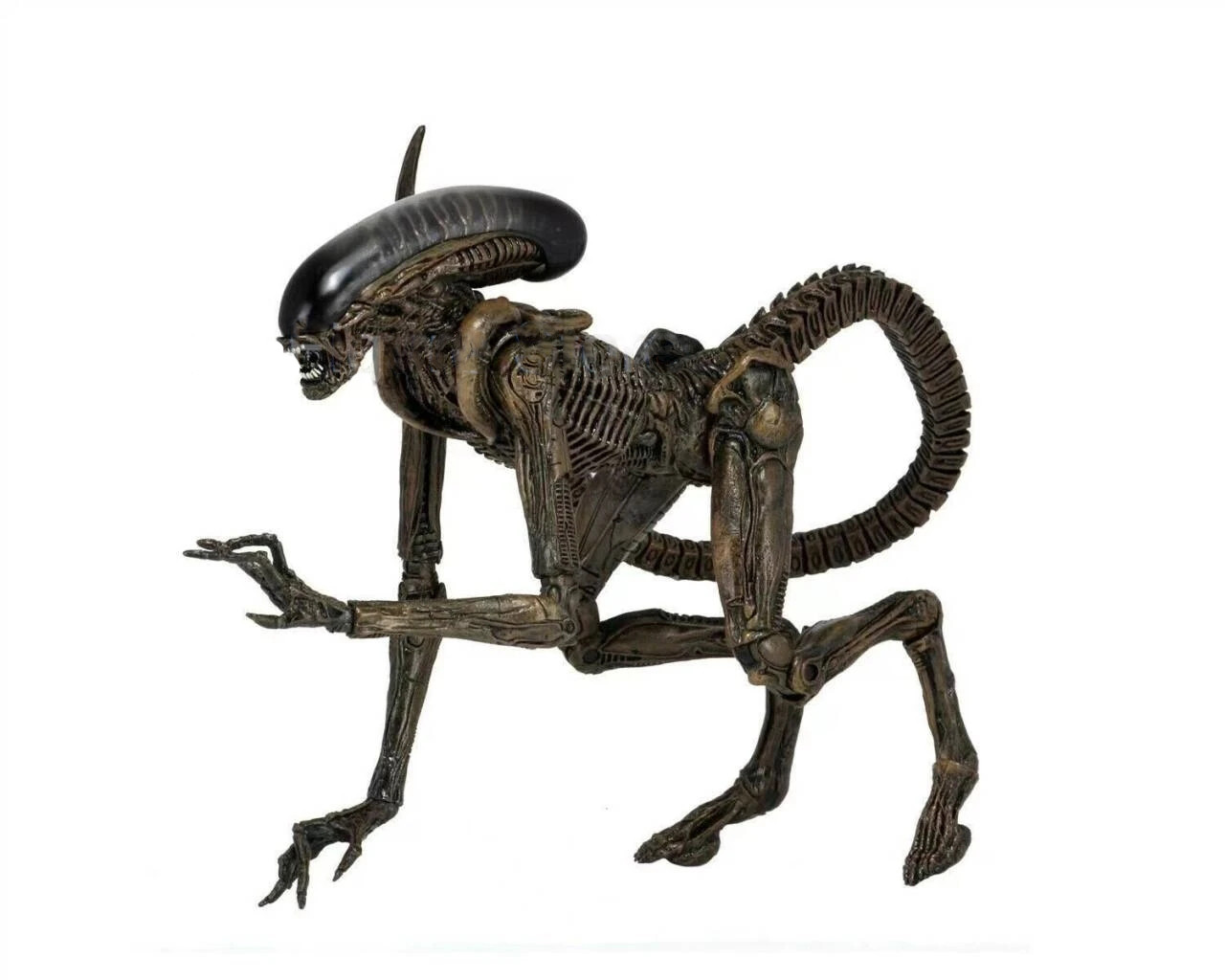 Чужий (Grand Alien-Runner) 2 варианта