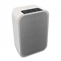 BlueSound PULSE FLEX