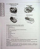 Біологія. 7–11 класи. Довідник учня. Усі поняття, терміни та визначення.  Атаманчук М., Остапович К., фото 8