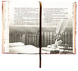 Світ Анімант. Розповідь про «Книжкові хроники». Лінь Ріна, фото 6