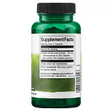 Гінкго Білоба Swanson Ginkgo Biloba Extract 60 мг 120 капсул, фото 3