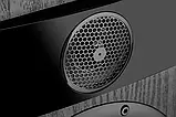 Підлогова акустика Fyne Audio F302 Black Ash, фото 7