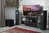Підлогова акустика Fyne Audio F302 Black Ash, фото 8
