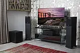 Підлогова акустика Fyne Audio F302 Black Ash, фото 9