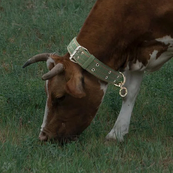 Нашийник для корови, бичків, буйволів та іншої великої рогатої худоби 130 х 5 см