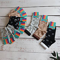 Шкарпетки жіночі Krokus  класичні різнокольорові, 23-25 (36-40),12 пар