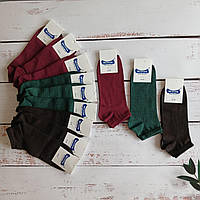 Шкарпетки жіночі Master укорочені 23-25 (36-40 по взуттю) темне асорті | 12 пар