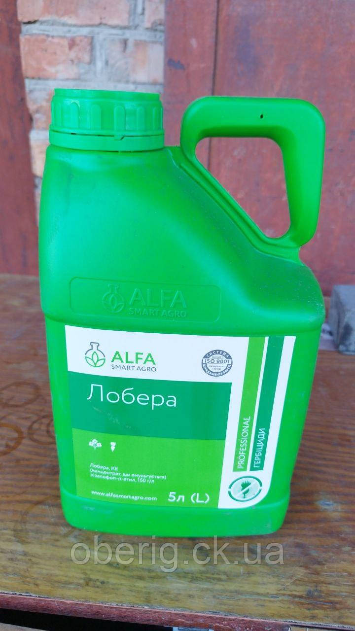 Лобера гербіцид, 5 л, фото 1