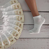 Шкарпетки жіночі Житомир бавовна спорт білі  сітка 37-39 | 12 пар