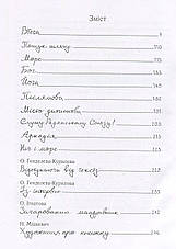 Книга «Сам в океані». Автор - Стас Курілов, фото 2