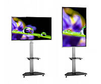 Телевізійна  стійка  Techly  ICA-TR3WH  для  телевізорів  37  "-  70"