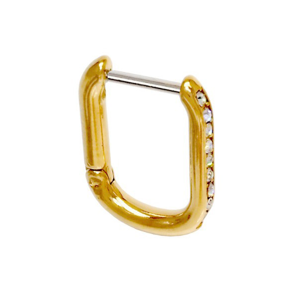 Сережки Biojoux BJT 262, фото 1