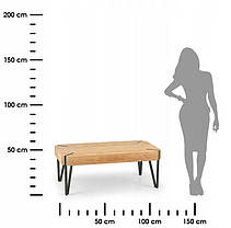 Журнальний стіл Halmar Emily 110 x 60 см, фото 4