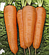 Насіння моркви Курода Шантане 0.5 кг Unigen Seeds, фото 2