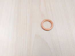 Шайба під форсунку Fiat Ducato 230, Peugeot Boxer, Citroen Jumper (1994-2002) 1.9D/TD (1905), 198105