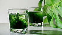 Chlorofresh Liquid Chlorophyll: хлорофіл – «рідка енергія» природи, що очищає та лікує